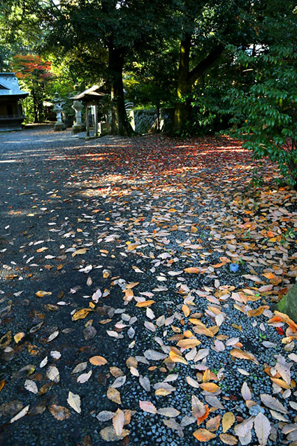The pathway of Akiru Shrine adorned with autumn leaves.