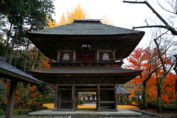Kotokuji Temple and autumn leaves