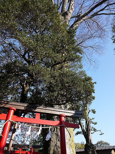 Minami-Inari Shrine