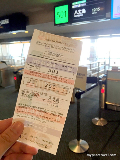 From Haneda Airport to Hachijojima Island