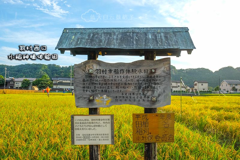 Hamura Rice Planting Experience Base
