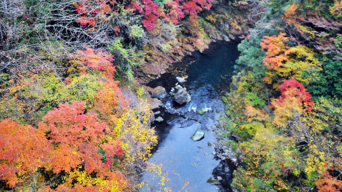 The autumn leaves on both sides of Okutama River