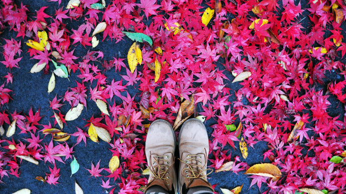 Gently standing on the autumn leaves.