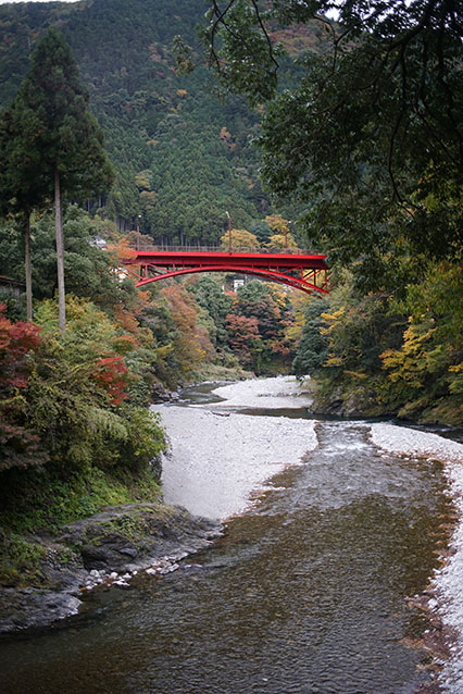 A bridge covered with red leaves