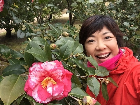 Camellia Garden at the Metropolitan Oshima Park