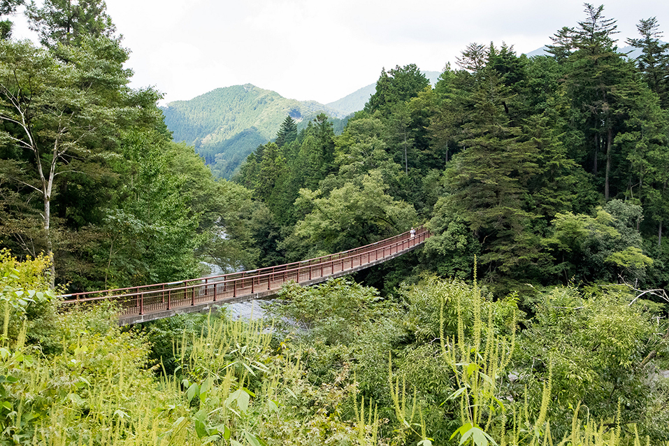 石舟橋