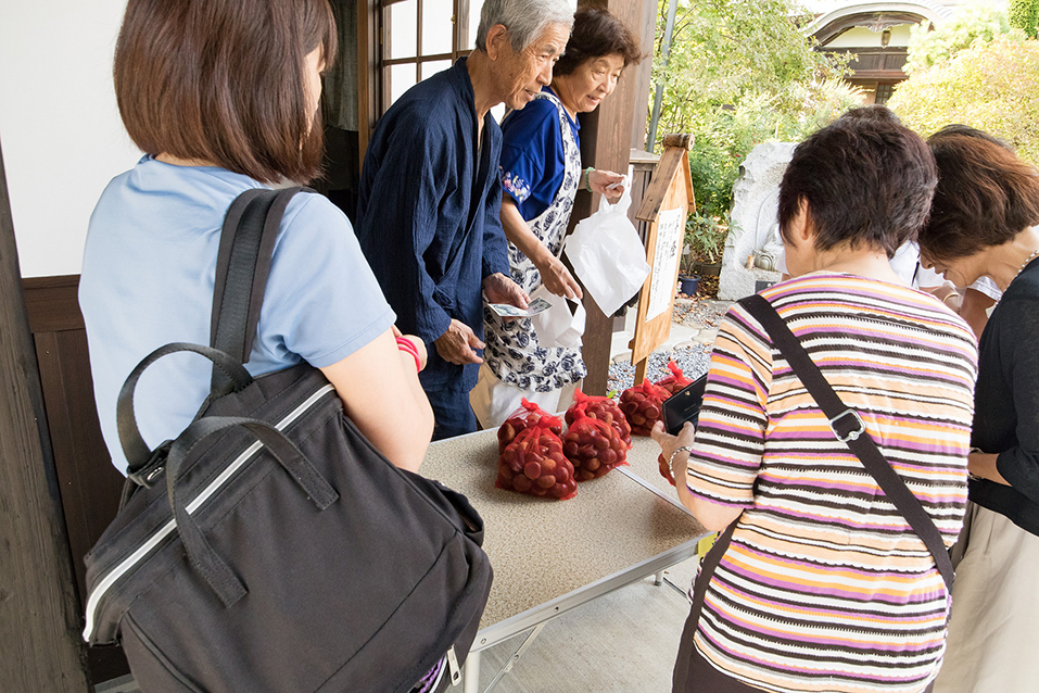 野栗