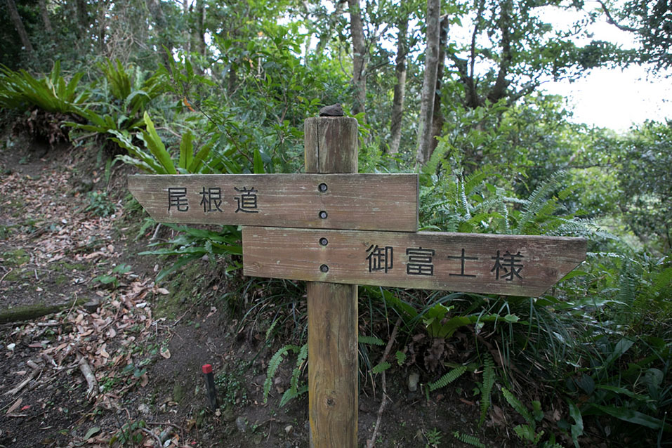 丸山一周遊歩道
