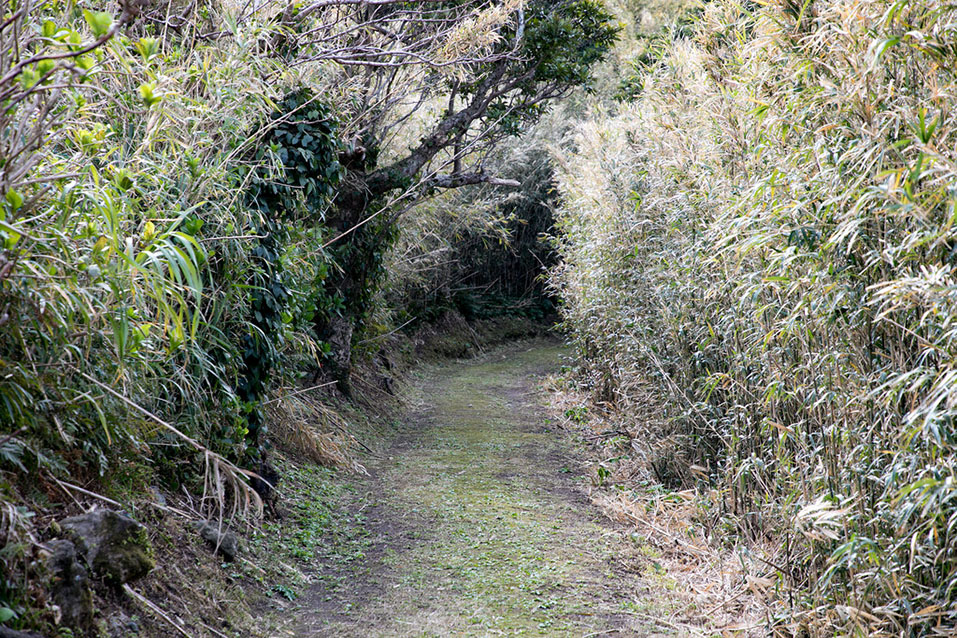 大凸部遊歩道