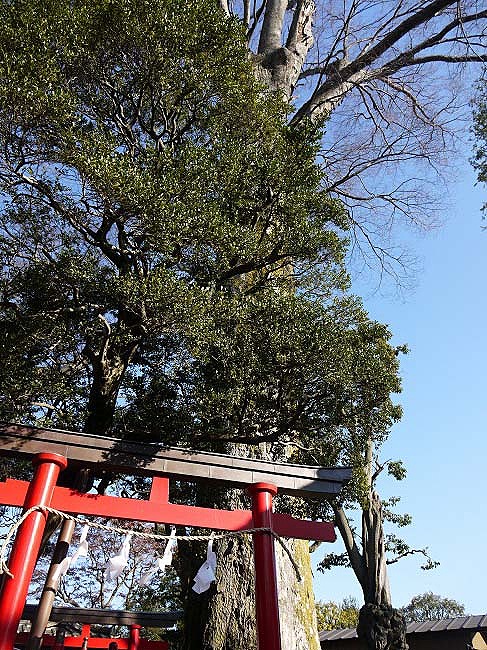 南稲荷神社