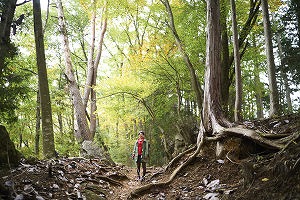日の出山 登山