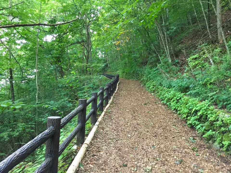 歩きやすい遊歩道