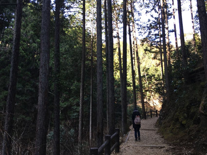 払沢の滝へ