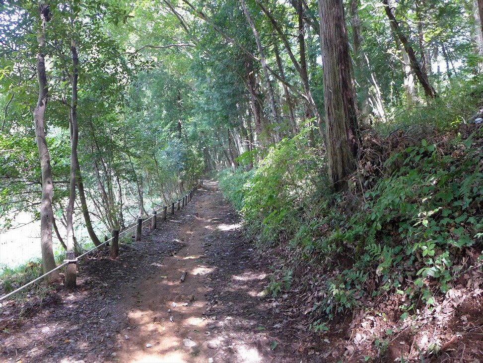 天王山遊歩道