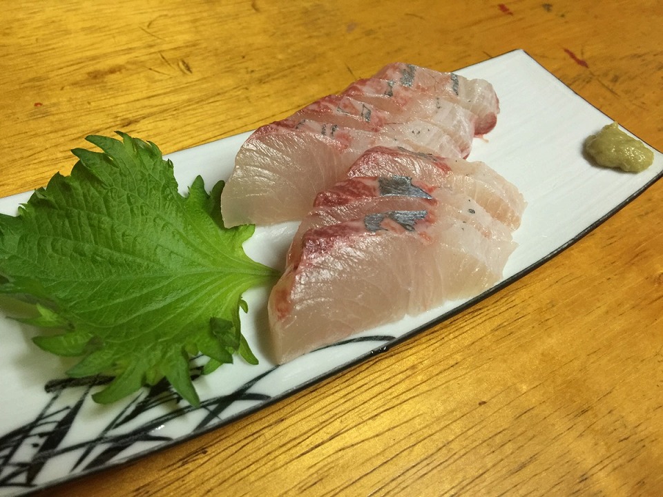 とりてつ　シマアジ