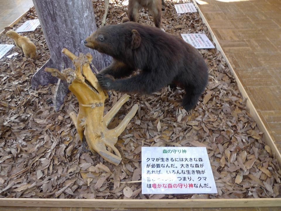 奥多摩ビジターセンター