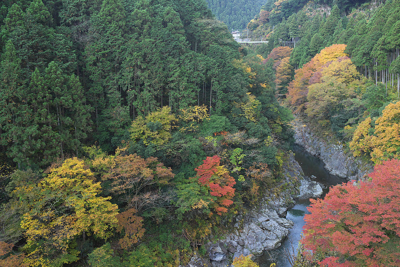 奥多摩の風 はとのす荘