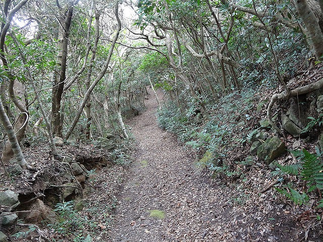 御釜湾に向かう遊歩道