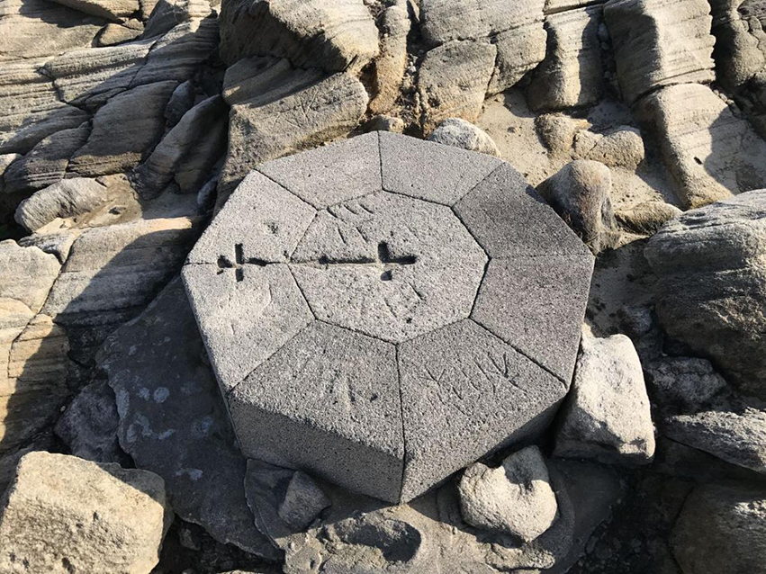丸山の方角石