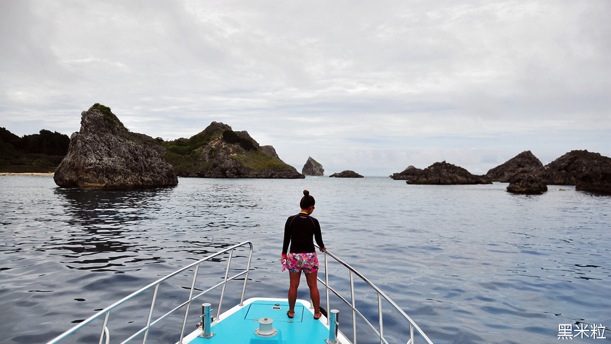 Whale watching at sea.