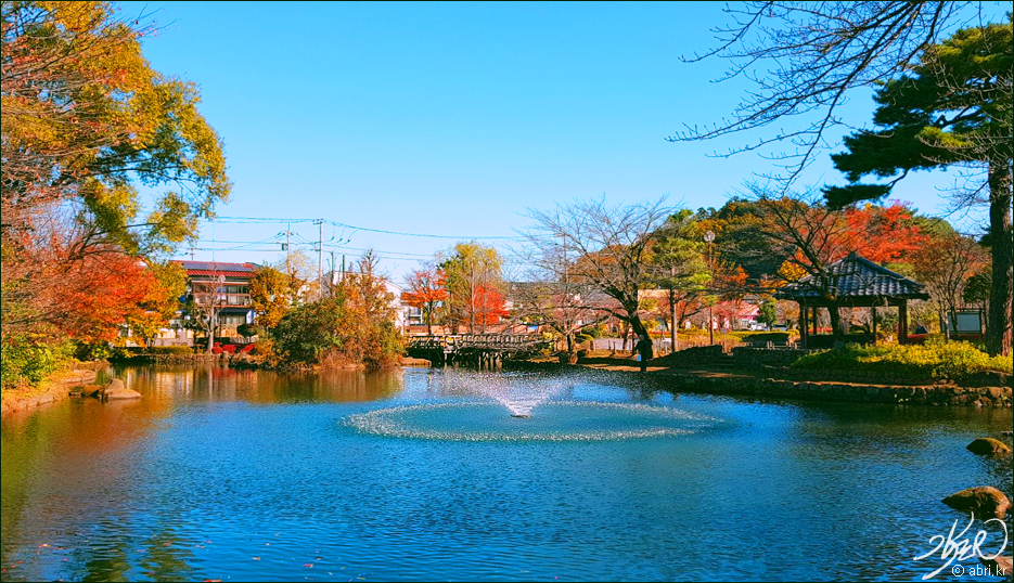 Sayamaike Park