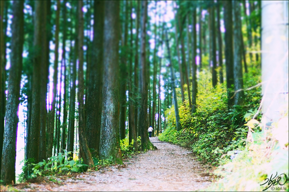 Morning hike