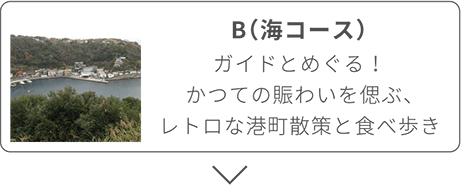 B(海コース)ガイドとめぐる！かつての賑わいを偲ぶ、レトロな港町散策と食べ歩き