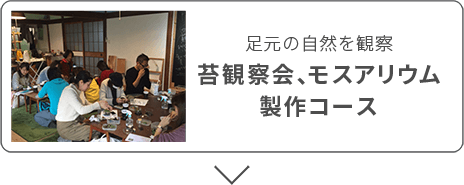 足元の自然を観察 苔観察会、モスアリウム製作コース