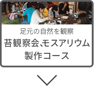足元の自然を観察 苔観察会、モスアリウム製作コース