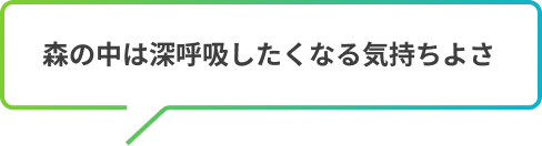 森の中は深呼吸したくなる気持ちよさ