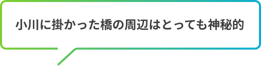 小川に掛かった橋の周辺はとっても神秘的