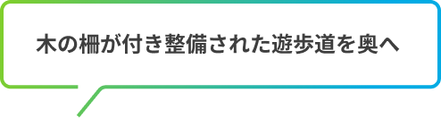 木の柵が付き整備された遊歩道を奥へ