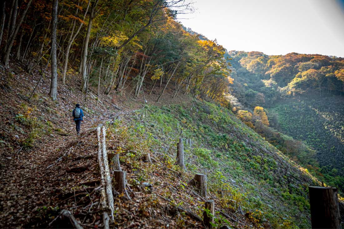 開けた山道
