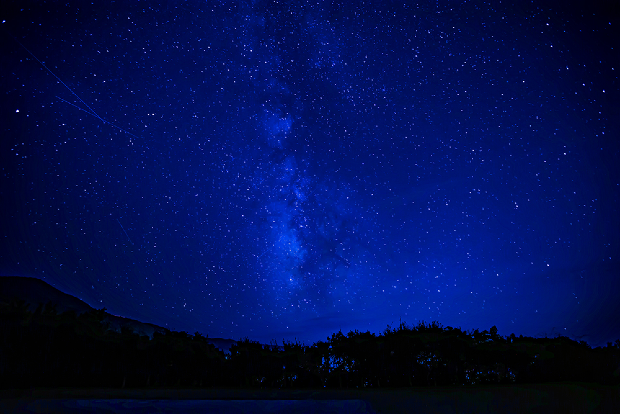 森と青い星空の風景