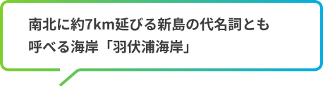 南北に約7km伸びる新島の代名詞とも呼べる海岸「羽伏浦海岸」