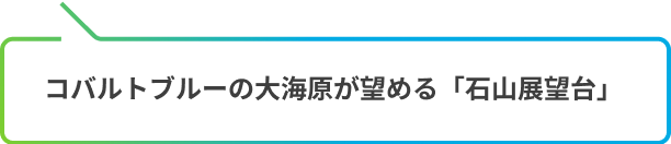 コバルトブルーの大海原が望める「石山展望台」