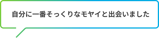 自分に一番そっくりなモヤイと出会いました
