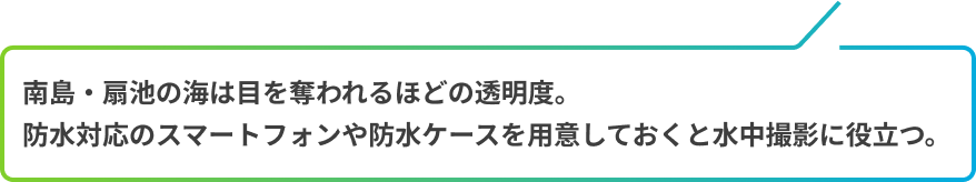 南島・扇池の海は目を奪われるほどの透明度。防水対応のスマートフォンや防水ケースを用意しておくと水中撮影に役立つ