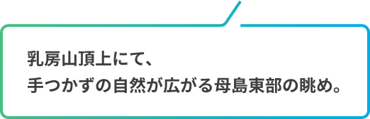 乳房山頂上にて、手つかずの自然が広がる母島東部の眺め