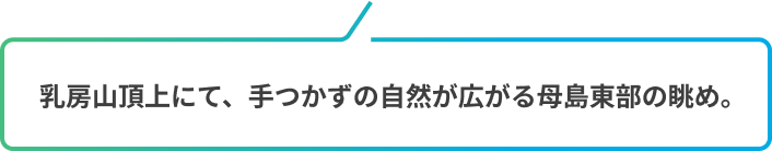 乳房山頂上にて、手つかずの自然が広がる母島東部の眺め
            