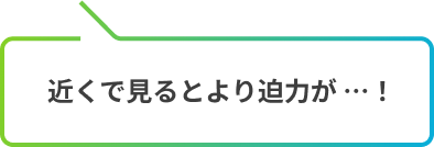 近くで見るとより迫力が… ！