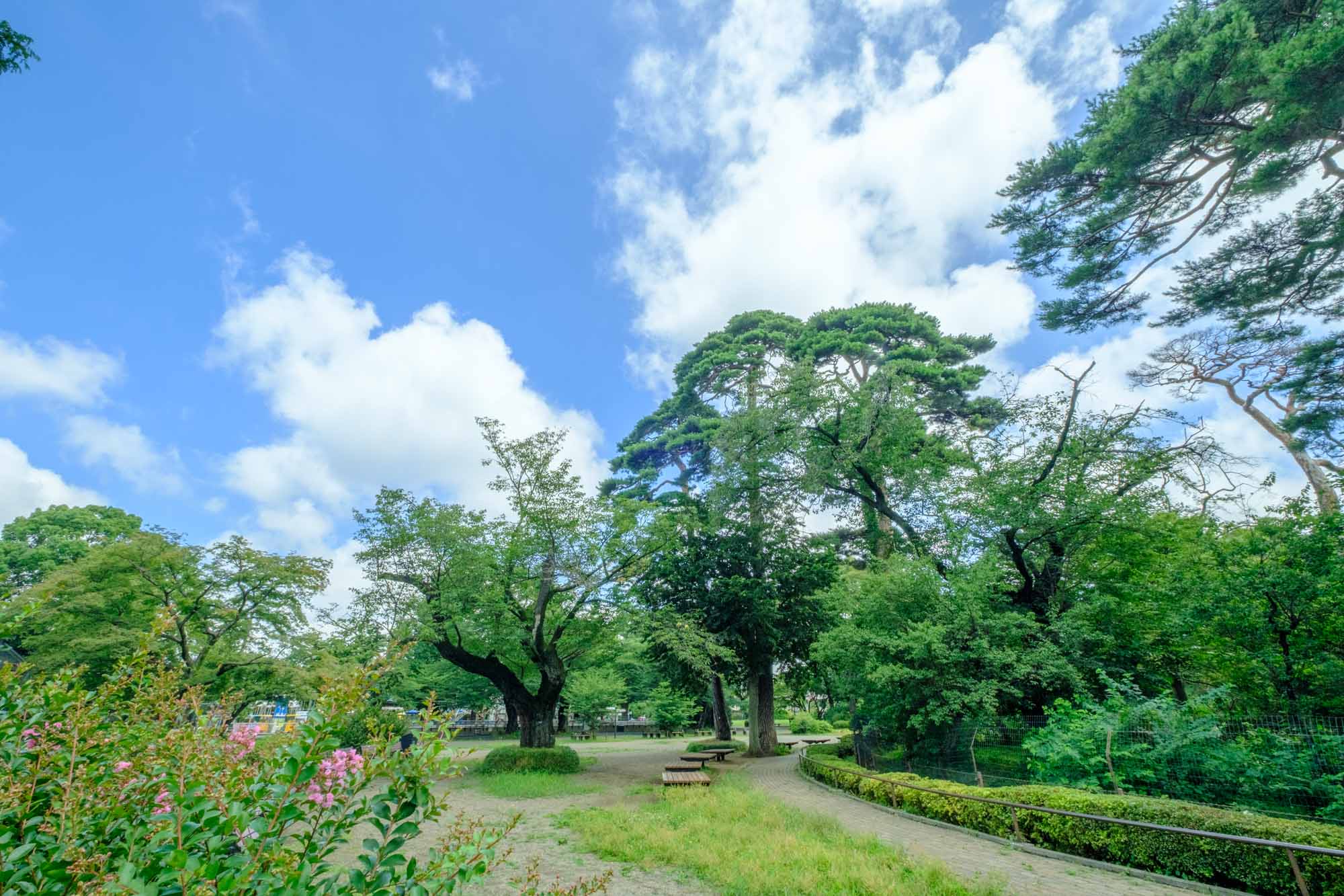 井の頭自然文化園
