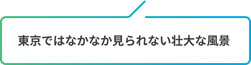 東京ではなかなか見られない壮大な風景