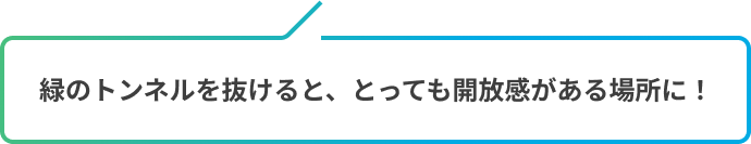 緑のトンネルを抜けると、とっても開放感がある場所に！