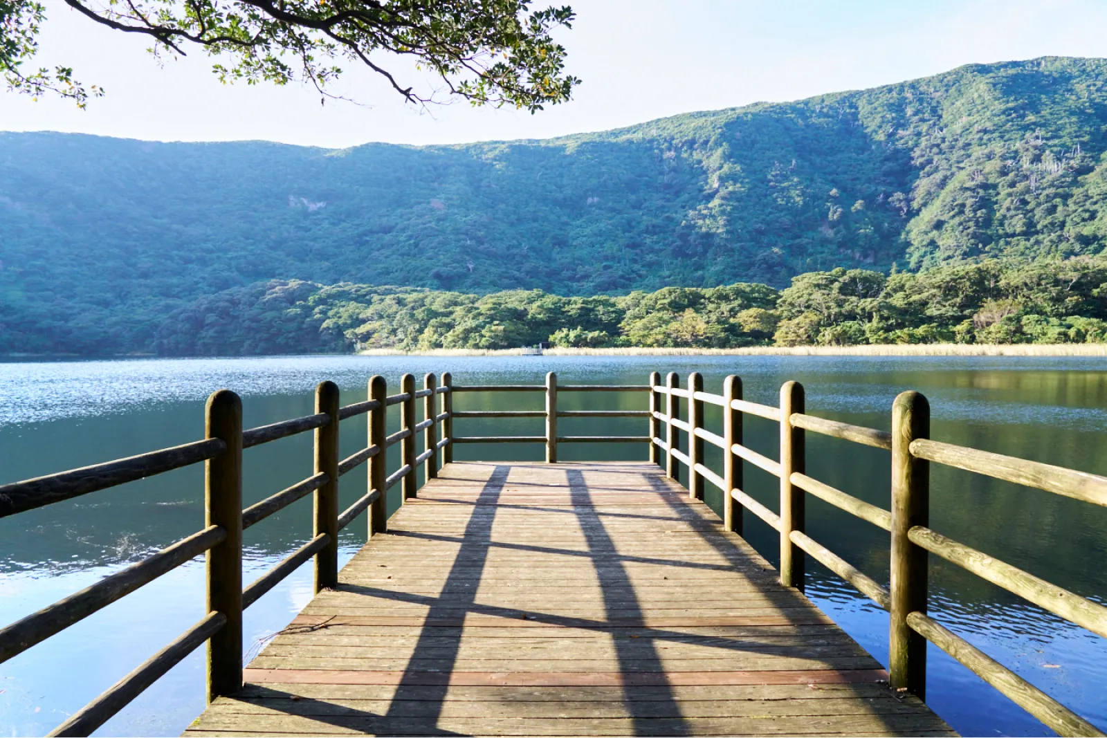 大路池の景色