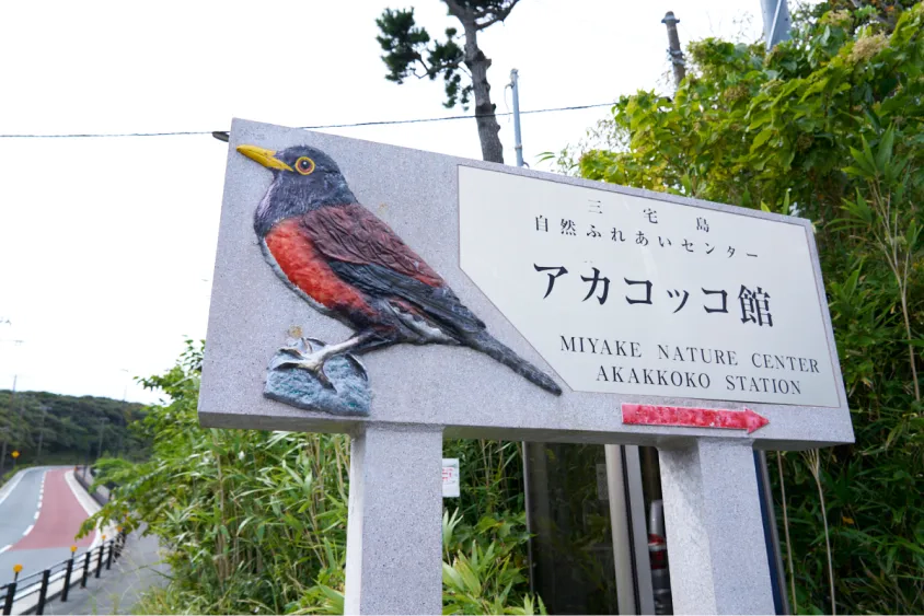 アカコッコ館の看板