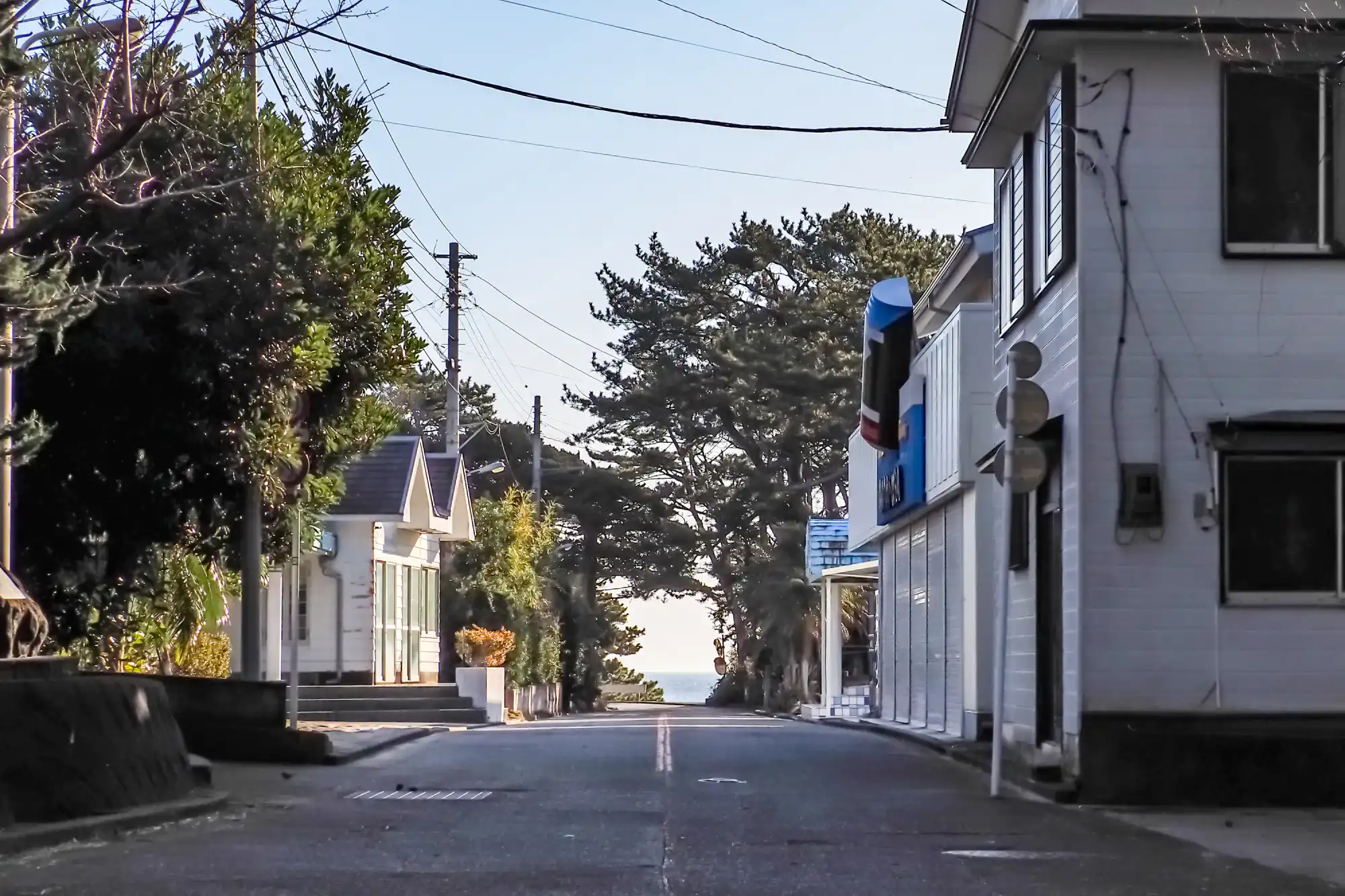 民家やお店や木々が並ぶ島の内陸の道路の風景