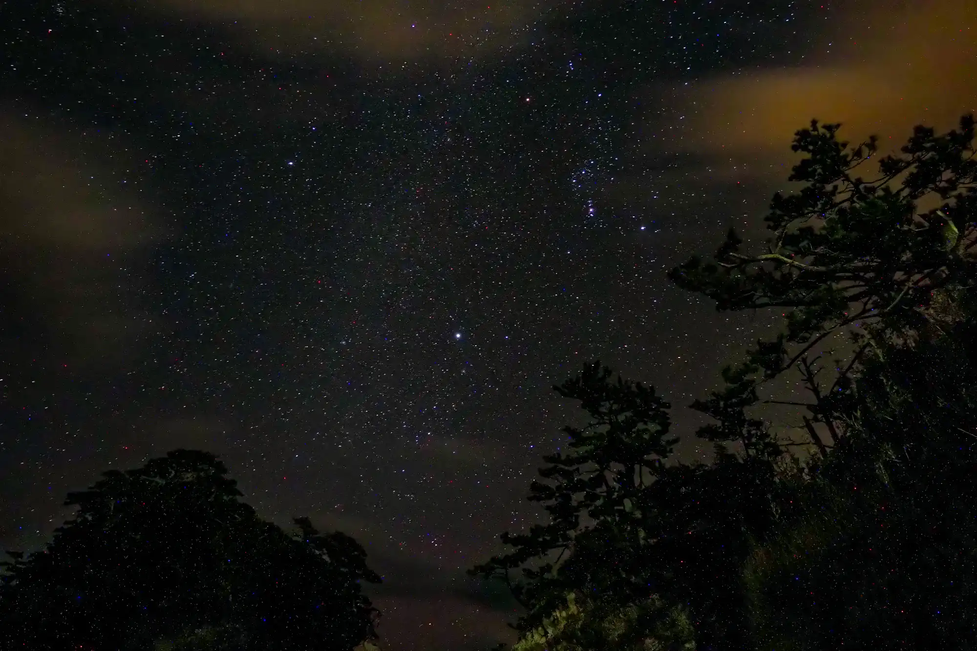 雲のない空に輝く星々の情景