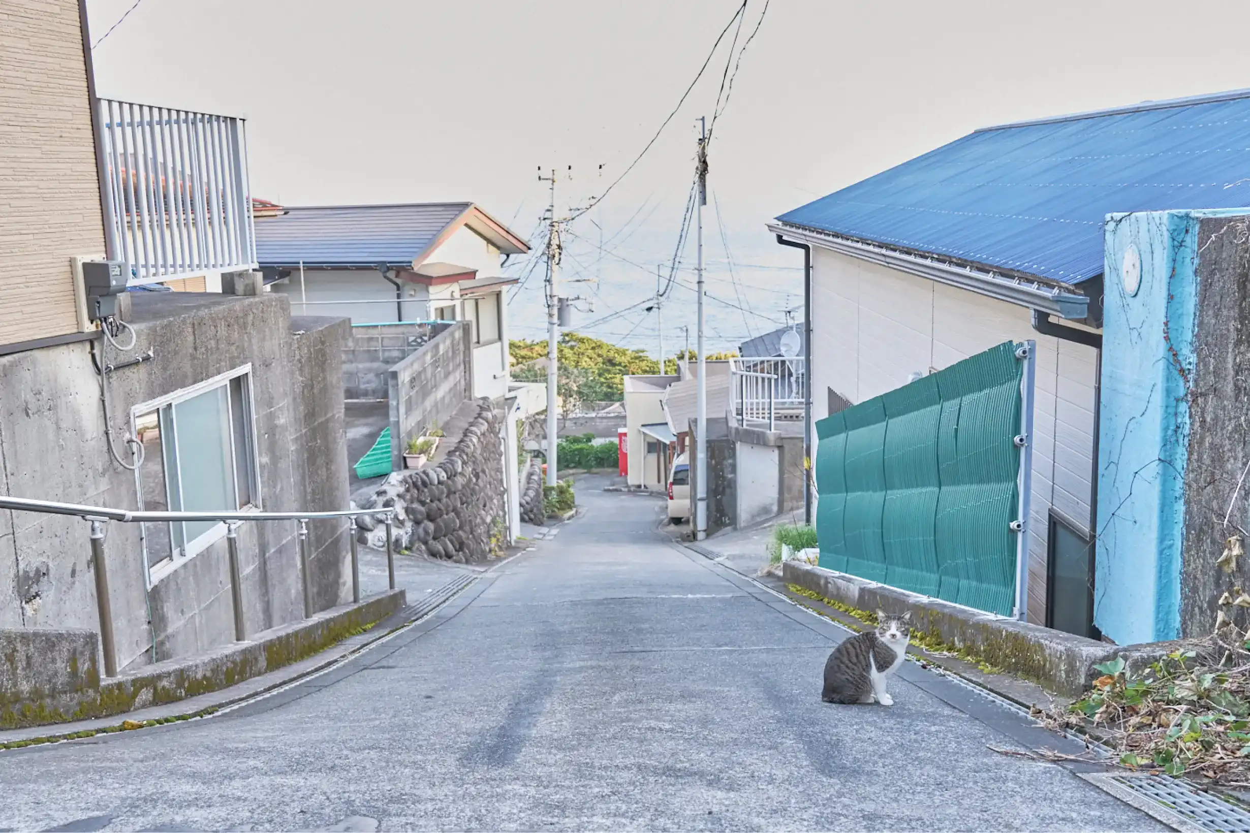 下り坂からの景色、民家と猫と遠くに海が見える
