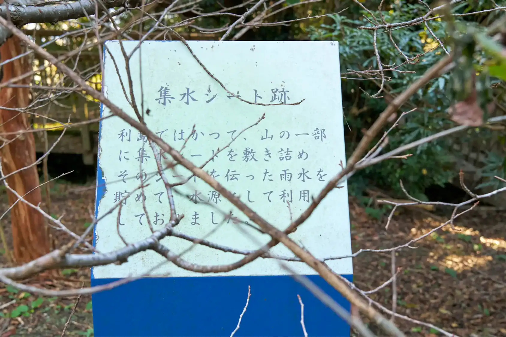 集水シート跡の看板